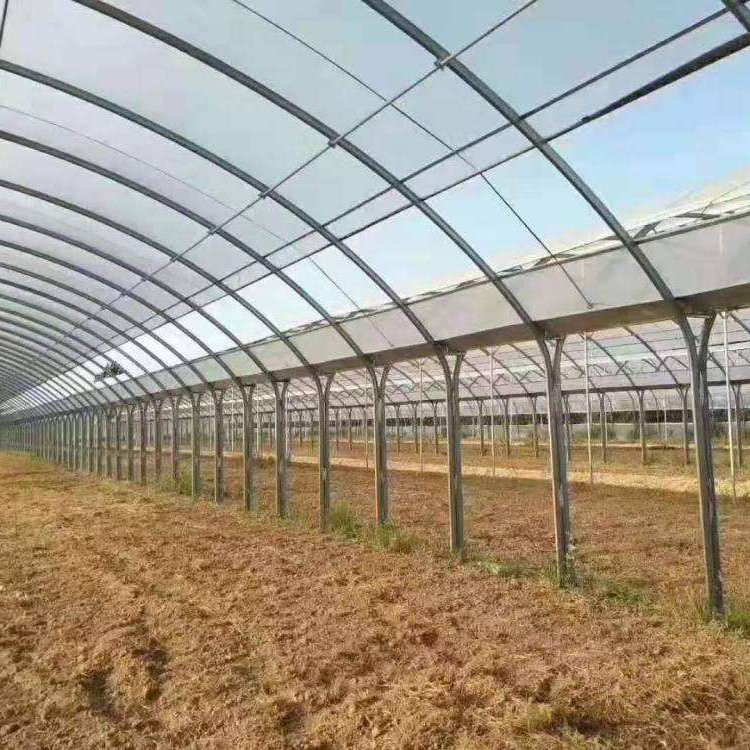 無土栽培,無土栽培技術(shù),無土栽培設(shè)備