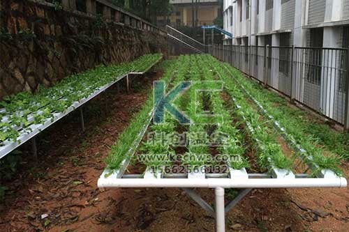 無土栽培，無土栽培技術(shù)，無土栽培設(shè)備