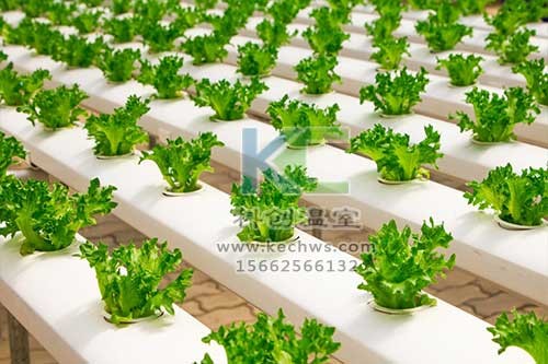 無(wú)土栽培，無(wú)土栽培技術(shù)，無(wú)土栽培設(shè)備