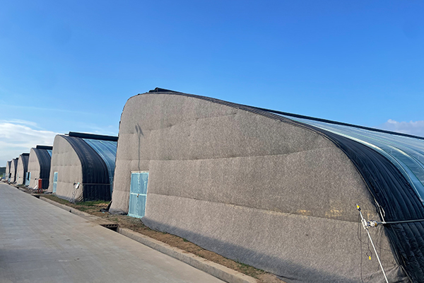 無(wú)土栽培，無(wú)土栽培技術(shù)，無(wú)土栽培設(shè)備