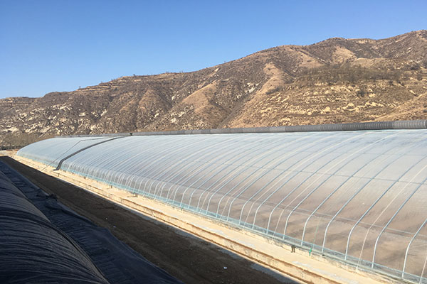 無土栽培，無土栽培技術，無土栽培設備