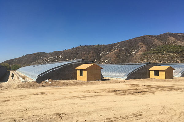 無土栽培，無土栽培技術，無土栽培設備