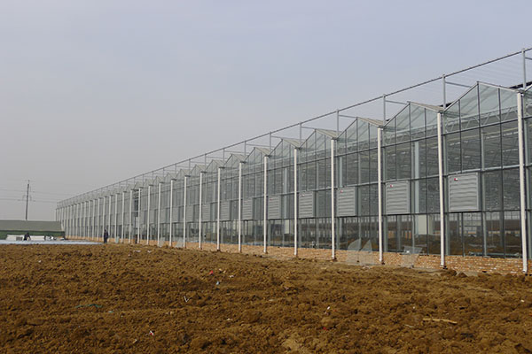 無土栽培，無土栽培技術，無土栽培設備