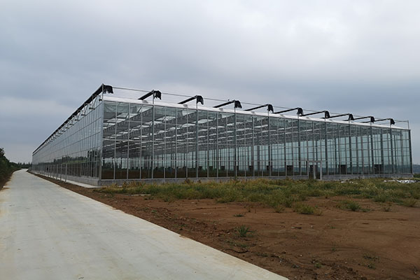 無土栽培，無土栽培技術，無土栽培設備