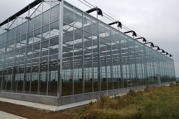 無(wú)土栽培，無(wú)土栽培技術(shù)，無(wú)土栽培設(shè)備