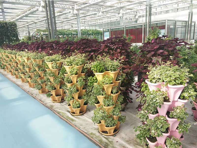 無土栽培，無土栽培技術，無土栽培設備